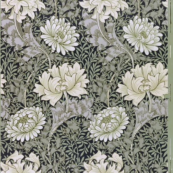 Chrysanthemum pattern