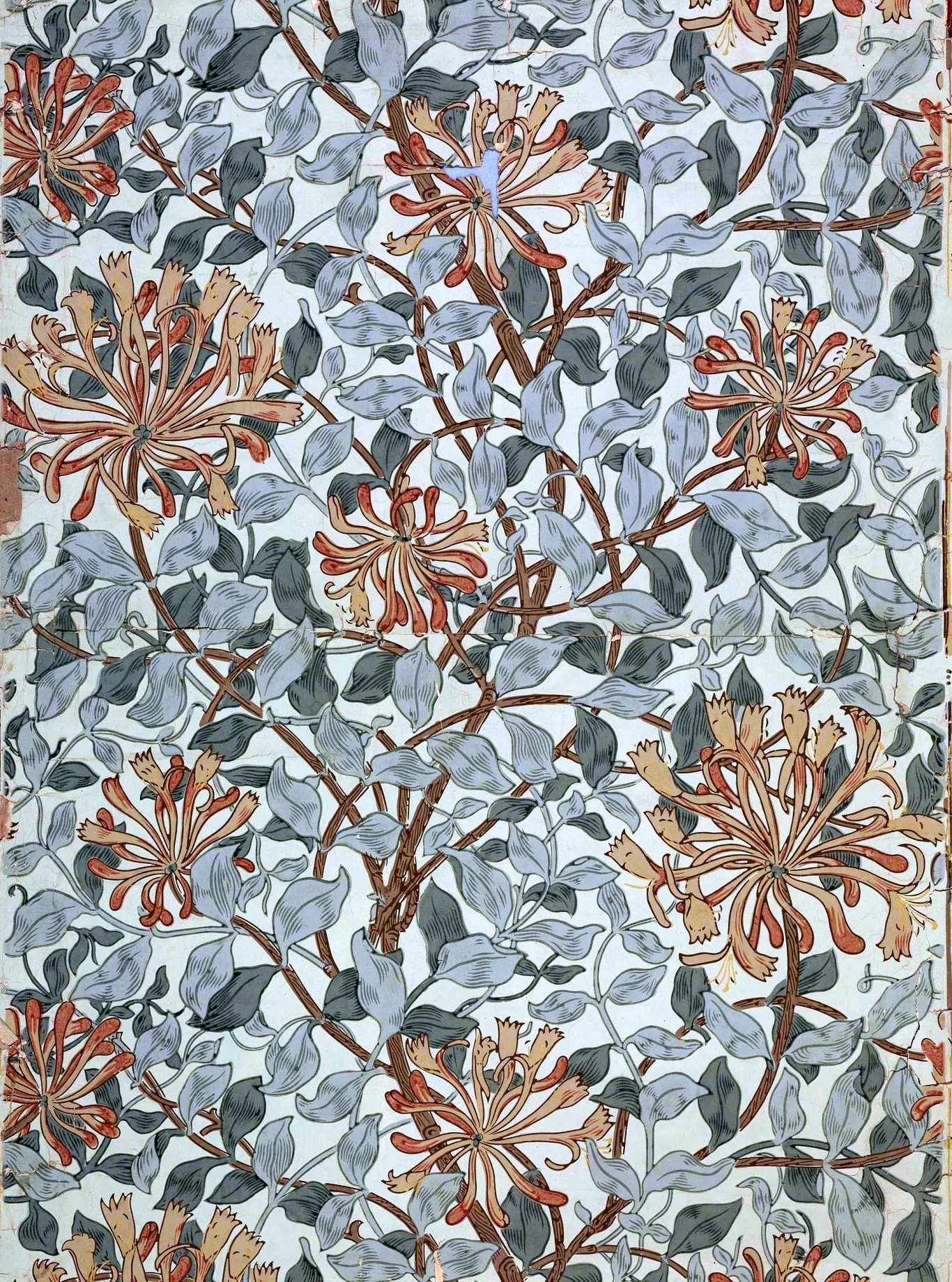 Honeysuckle by May Morris, Brown on Ivory colourway