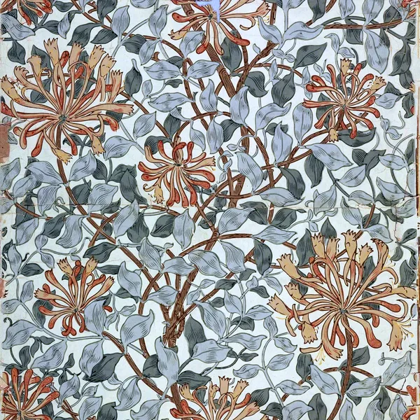 Honeysuckle pattern