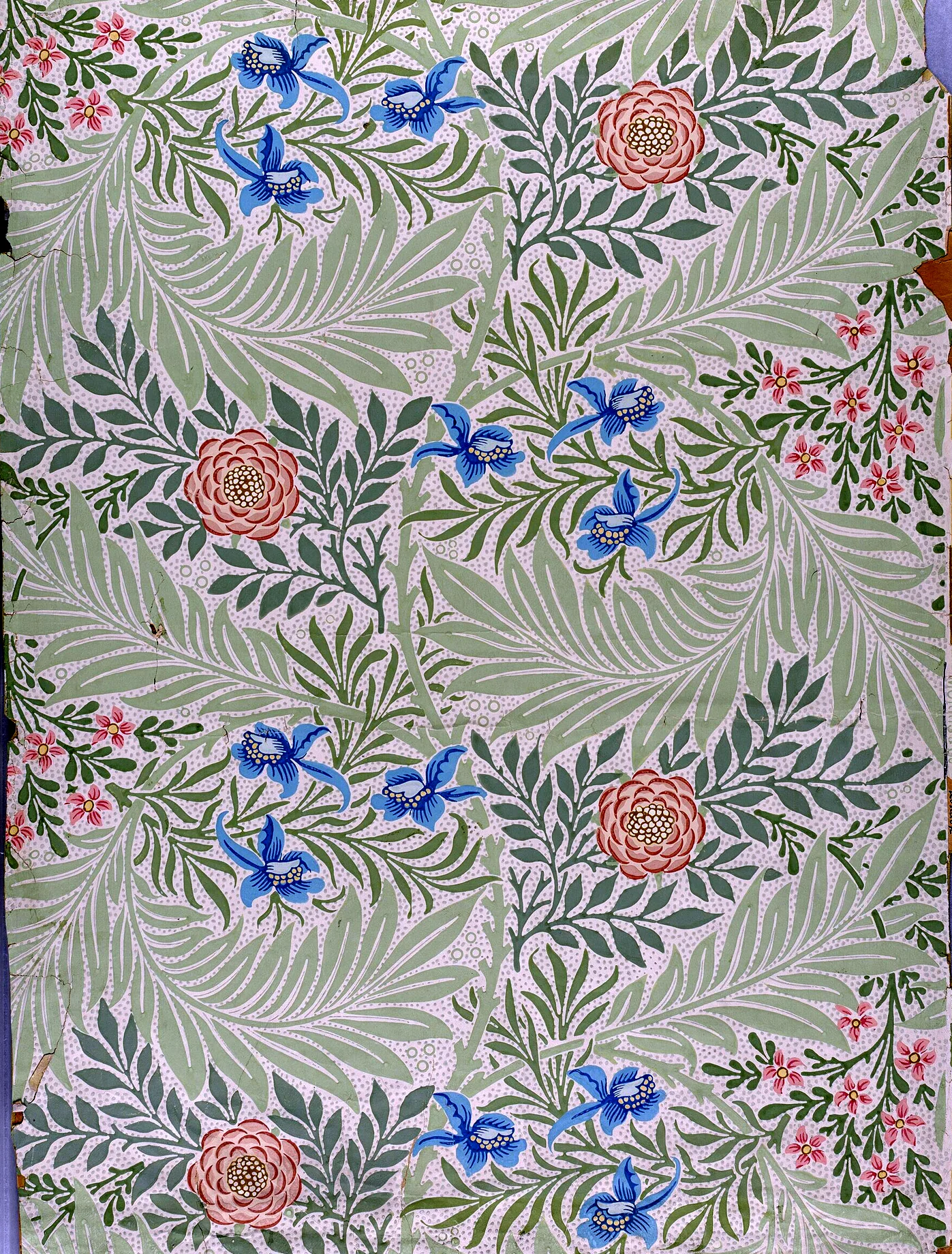 Larkspur by William Morris, Ivory on Stone colourway