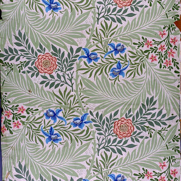 Larkspur pattern